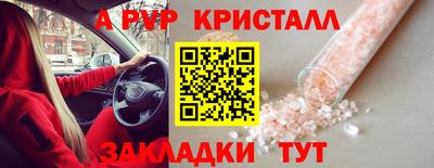 гашик Котовск