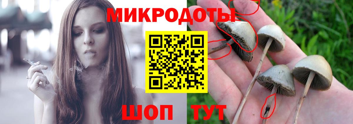 Галлюциногенные грибы Cubensis Черняховск